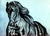 Friesian, Equine Art - Friesian Two